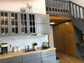 Roman Loft in Oradea City Center